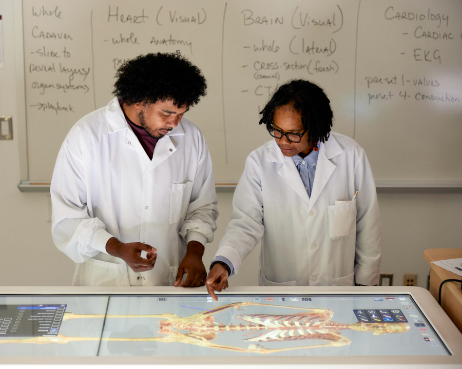 Two people in lab coats examine a digital anatomical display of a skeleton on a touchscreen table, with medical notes written on a whiteboard in the background.